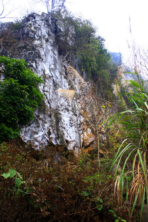 Núi Phượng Hoàng thuộc đất làng Phú Thượng, huyện Võ Nhai, tỉnh Thái Nguyên, cách Hà Nội 80km. Dải núi Phượng Hoàng rộng hơn 20ha, có nhiều hang động lớn. Nói đến hang Phượng Hoàng là nói đến huyền thoại về tình yêu của hai chú chim Phượng Hoàng vẫn còn được nhắc đến tận ngày nay.